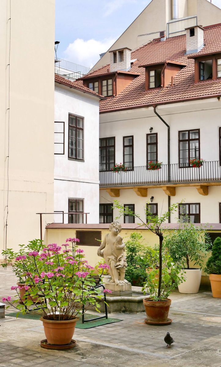 Konviktská, Praha - Staré Město – fotografie 3