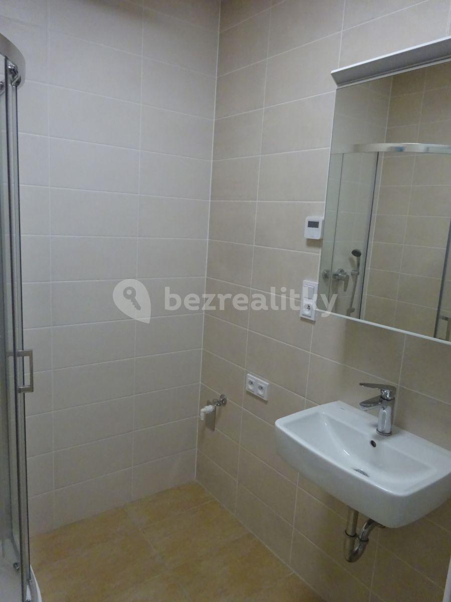 Pronájem bytu 1+kk 28 m², Veselí nad Moravou – náhled fotky 9