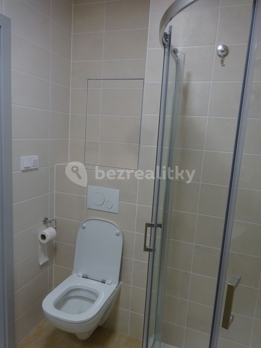 Pronájem bytu 1+kk 28 m², Veselí nad Moravou – náhled fotky 10