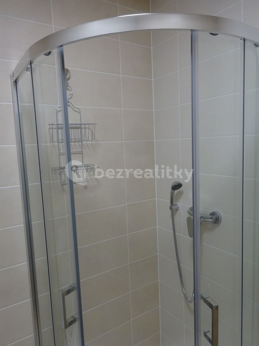 Pronájem bytu 1+kk 28 m², Veselí nad Moravou – náhled fotky 8