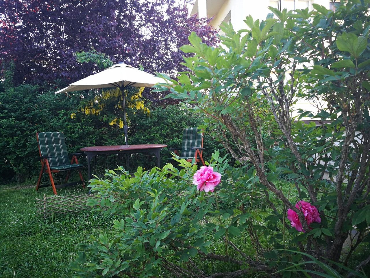 Pronájem bytu  48 m²