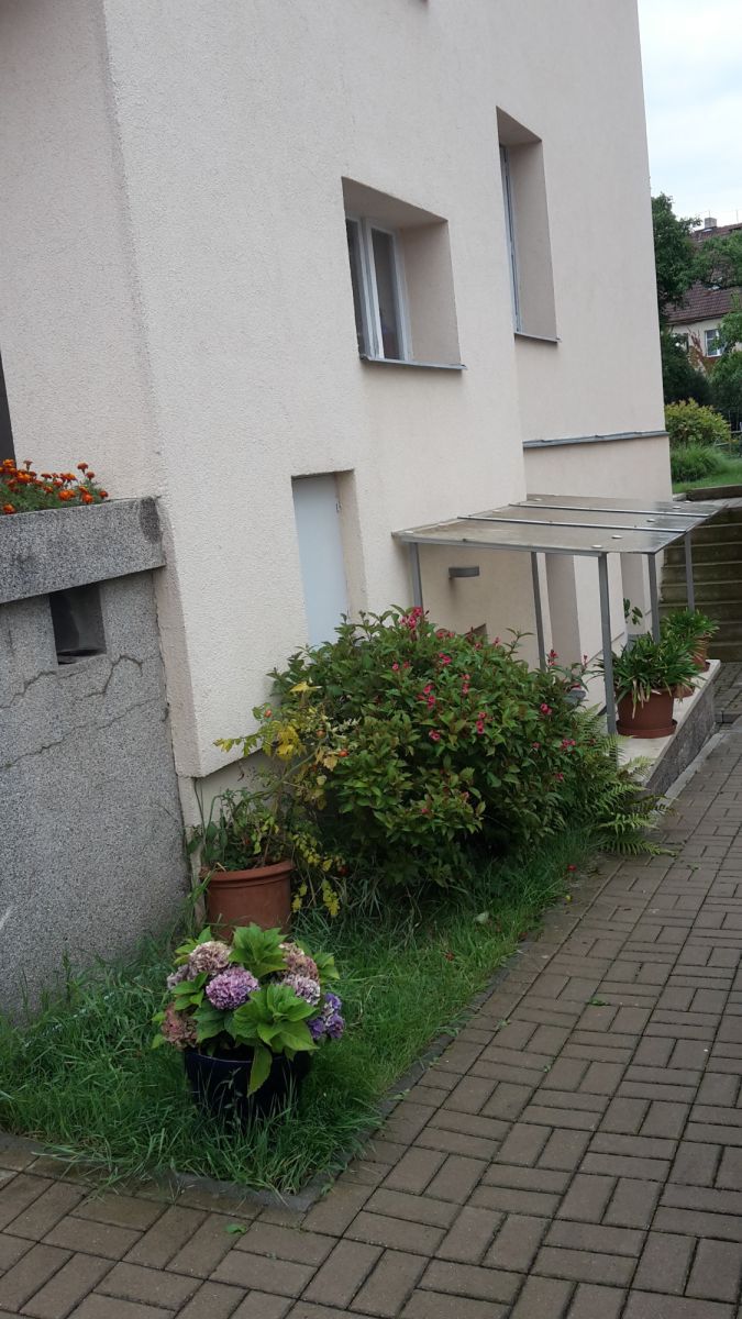 Pronájem bytu  48 m² — photo 3