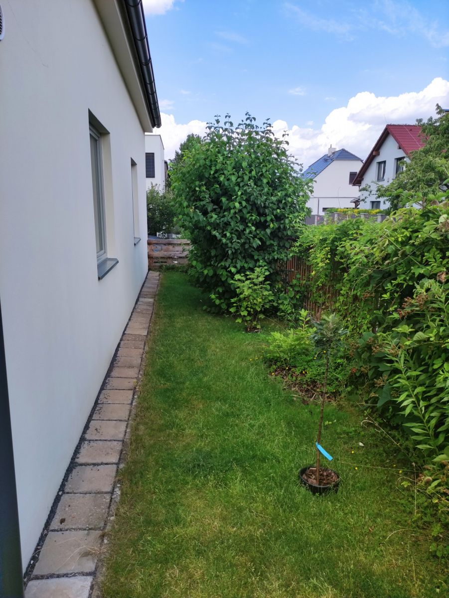 Pronájem bytu  65 m² — photo 3