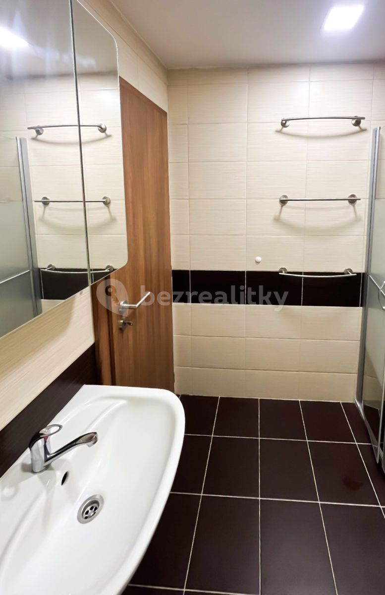 Pronájem bytu 1+1 44 m² — photo 4