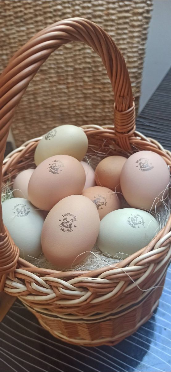 Pronájem objektu, Mladoňovice – náhled fotky 3