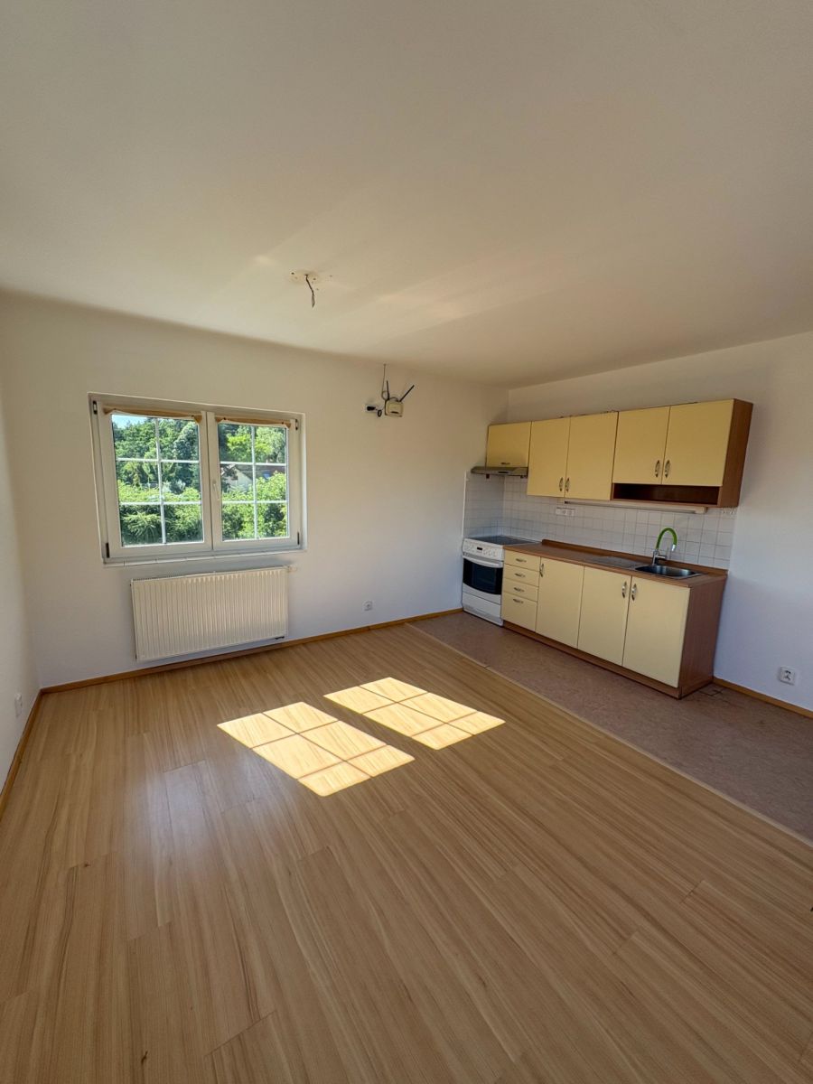 Pronájem bytu 3+kk 47 m² — photo 3