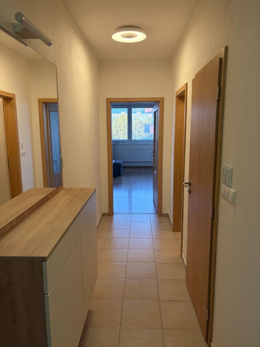 Pronájem bytu 3+kk 65 m², Brno – náhled fotky 6