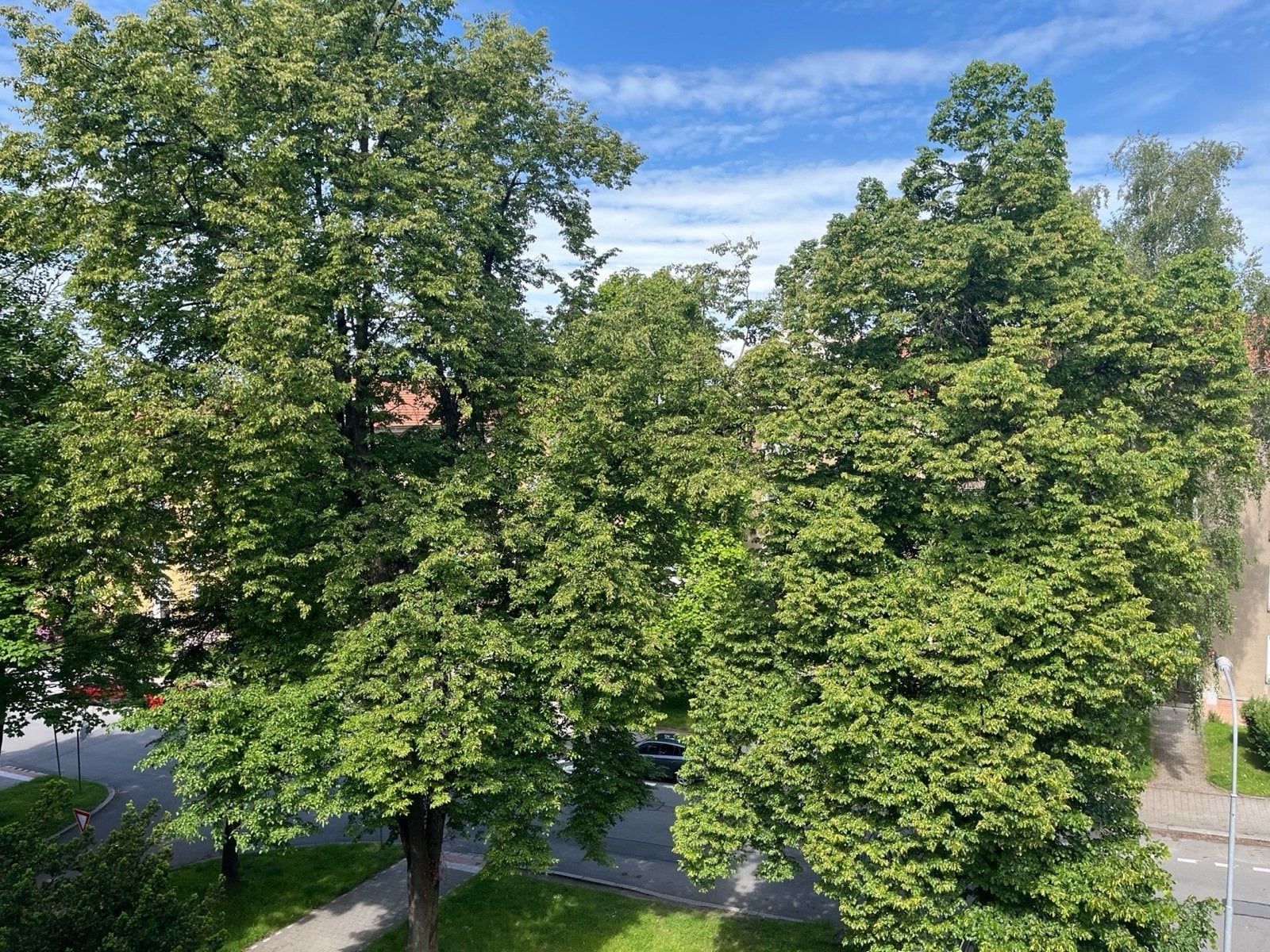 Pronájem bytu 2+1 53 m², Havířov – náhled fotky 9