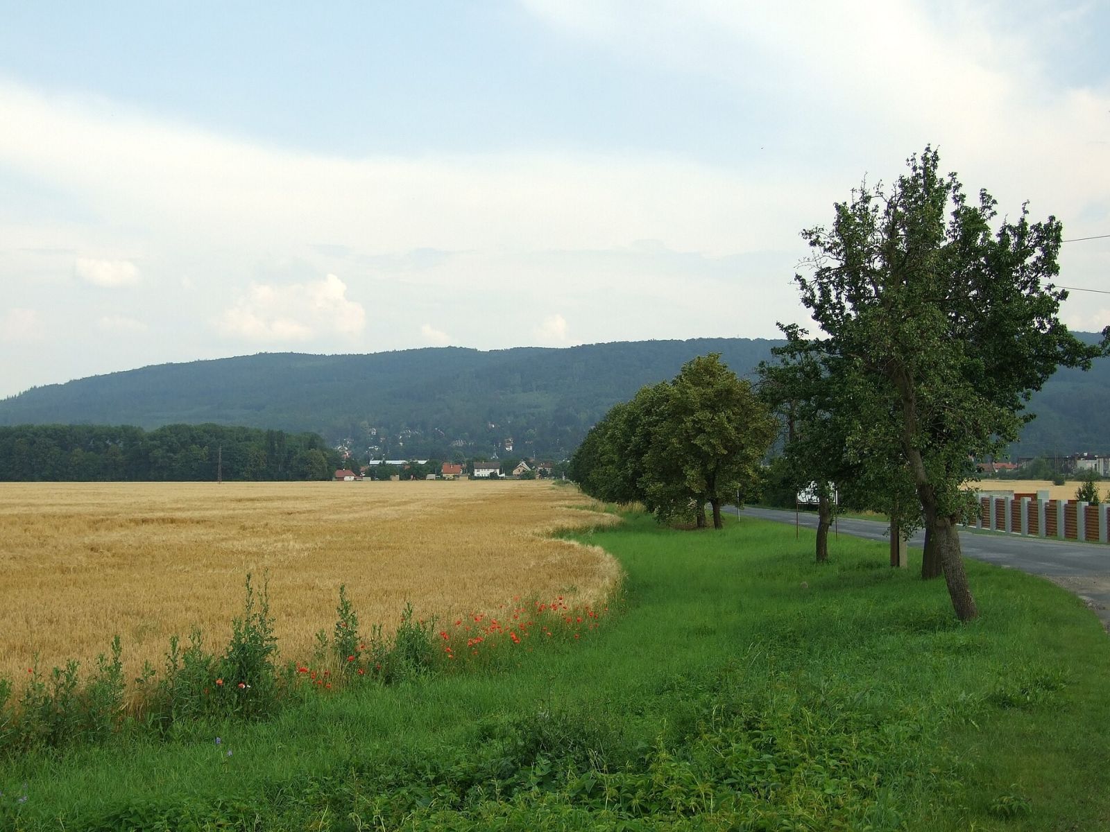 Prodej pozemku, Dobřichovice – náhled fotky 5
