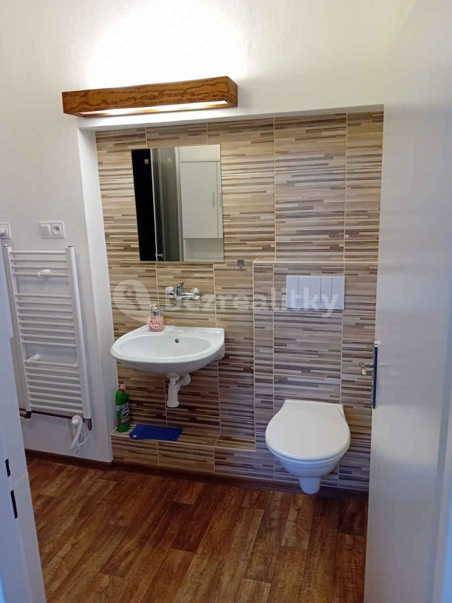 Pronájem bytu 1+1 36 m² — photo 3