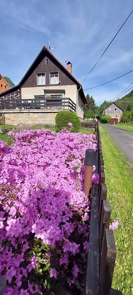 Pronájem objektu, Kunratice – náhled fotky 2