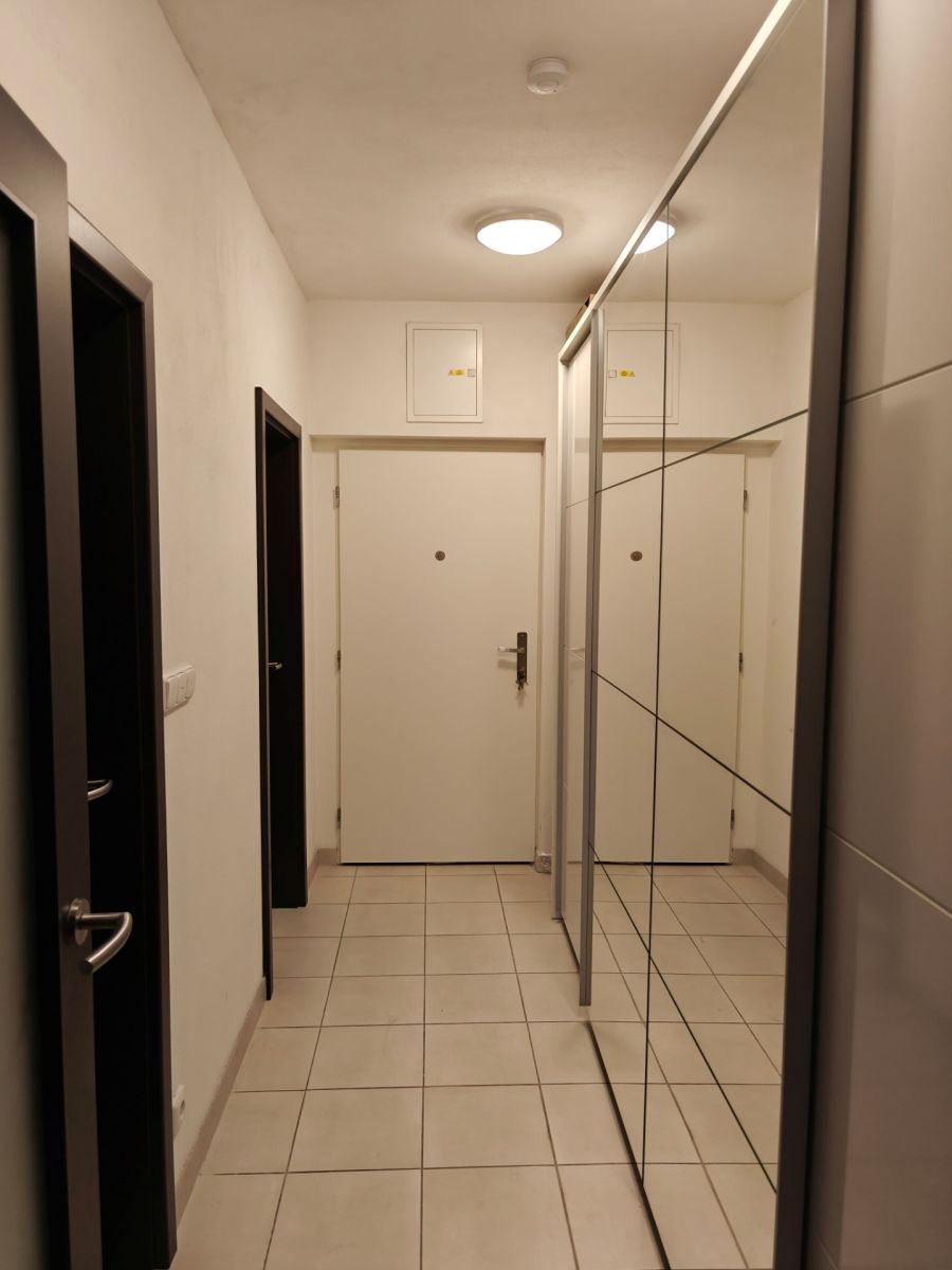 Pronájem bytu 1+kk 45 m², Brno – náhled fotky 5
