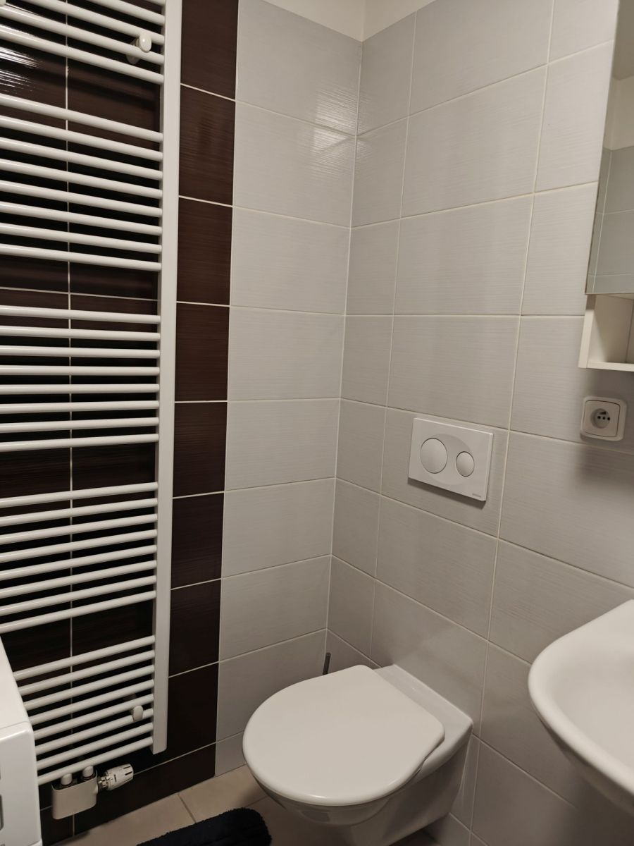Pronájem bytu 1+kk 45 m², Brno – náhled fotky 4