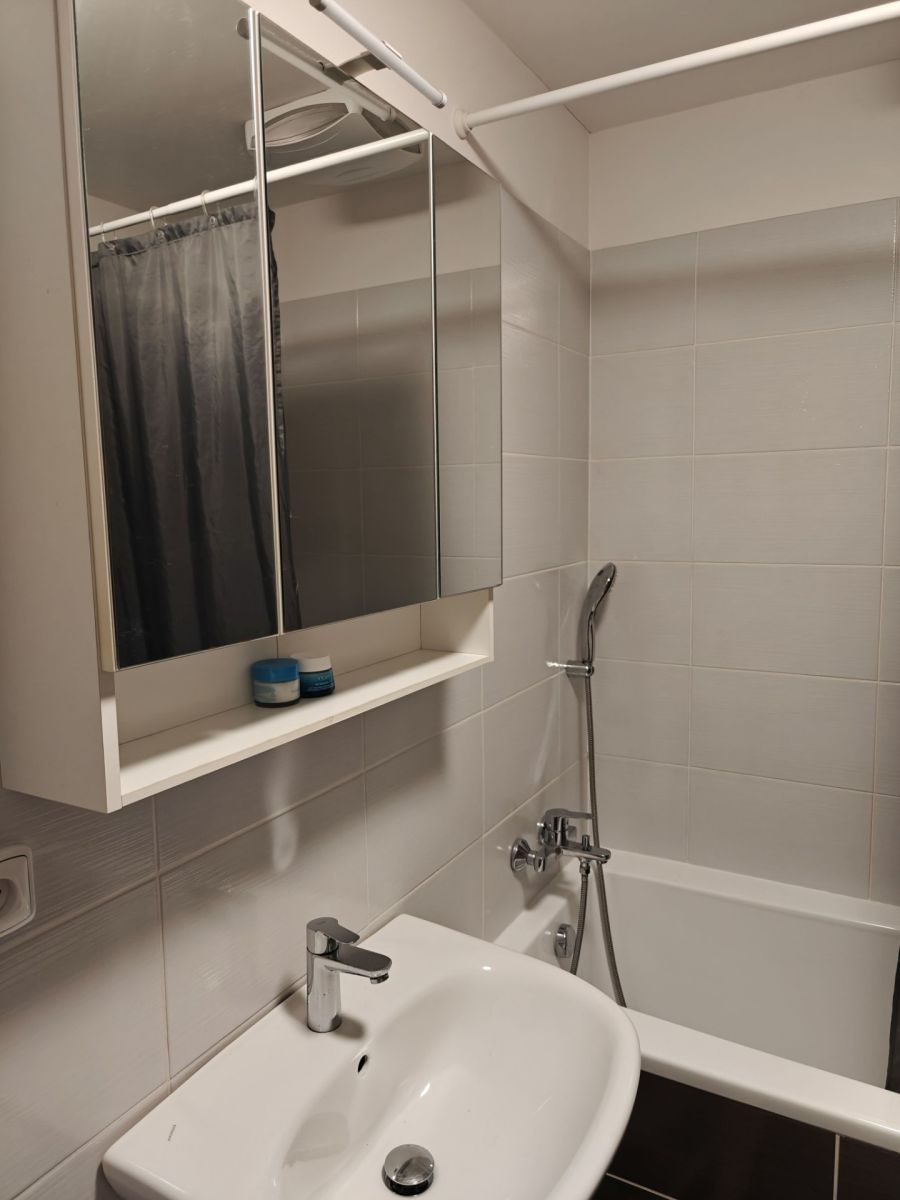 Pronájem bytu 1+kk 45 m², Brno – náhled fotky 7