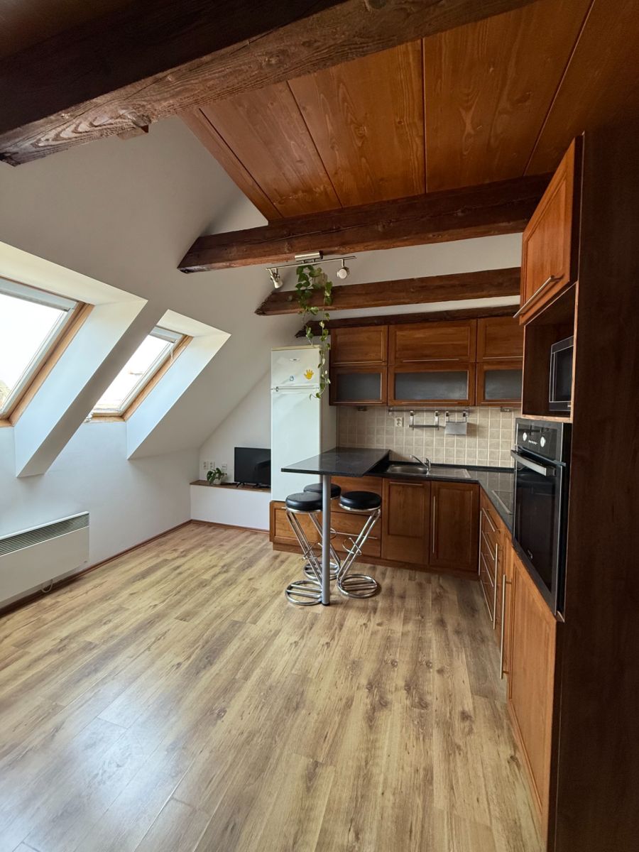 Pronájem bytu 1+kk 30 m²