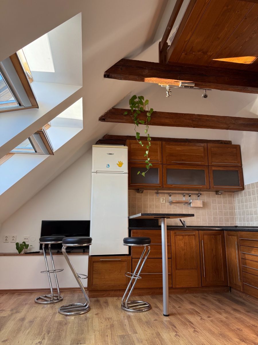 Pronájem bytu 1+kk 30 m² — photo 3