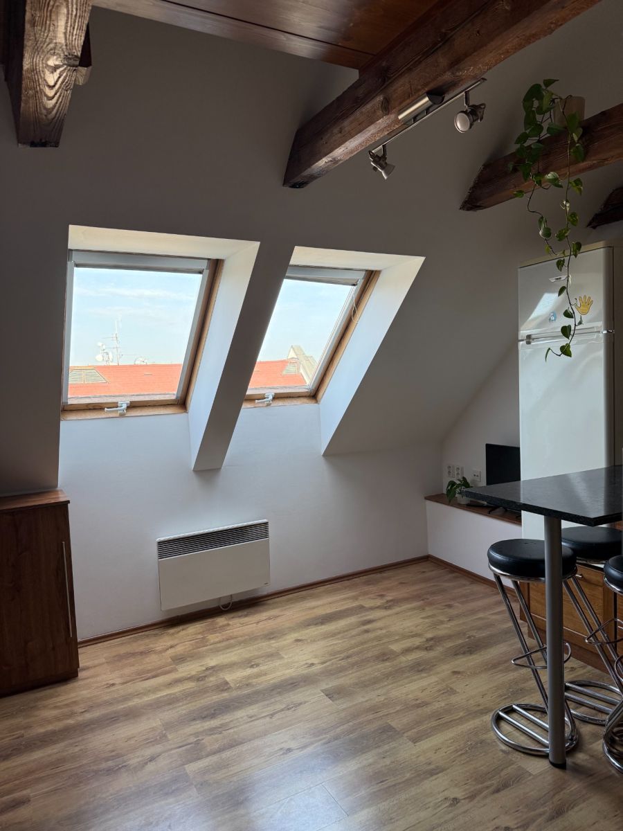 Pronájem bytu 1+kk 30 m² — photo 4