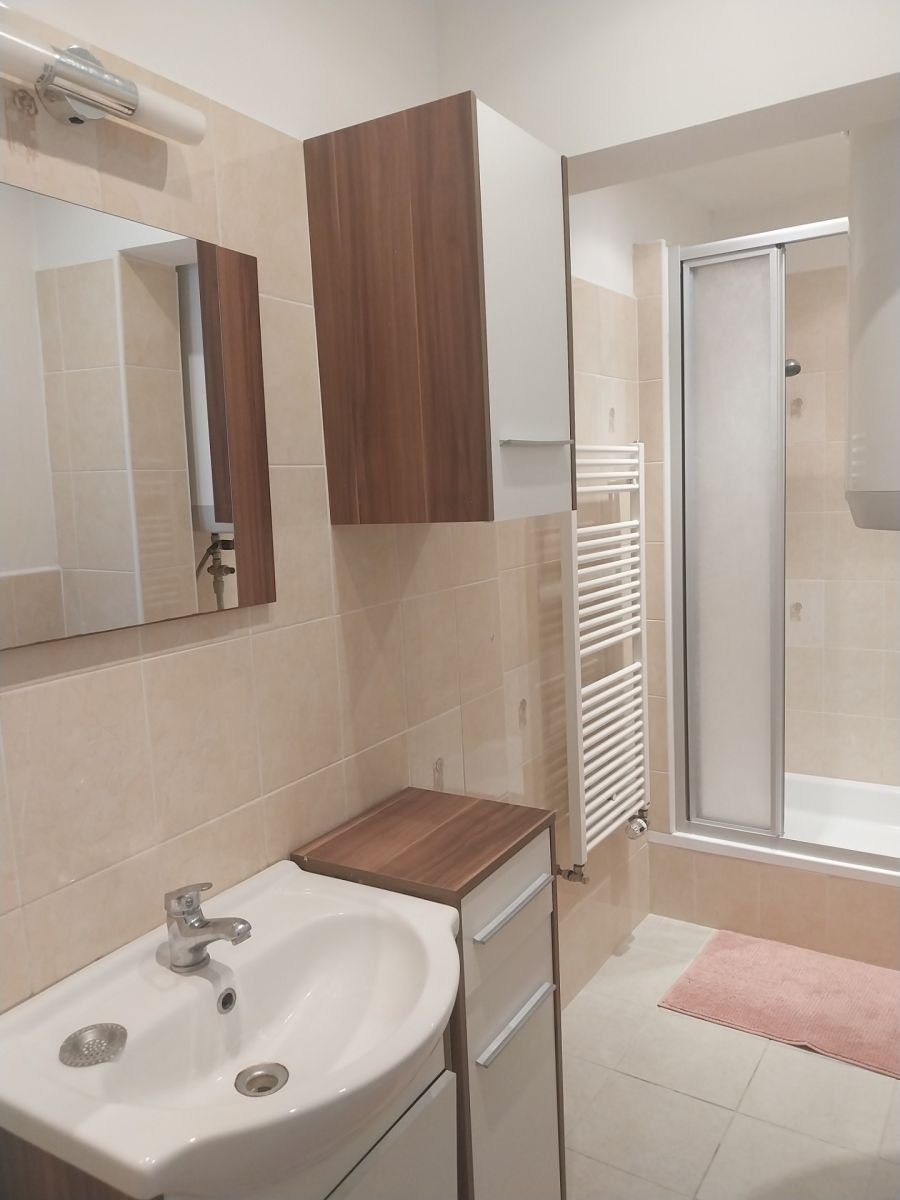 Pronájem bytu 1+1 45 m² — photo 4