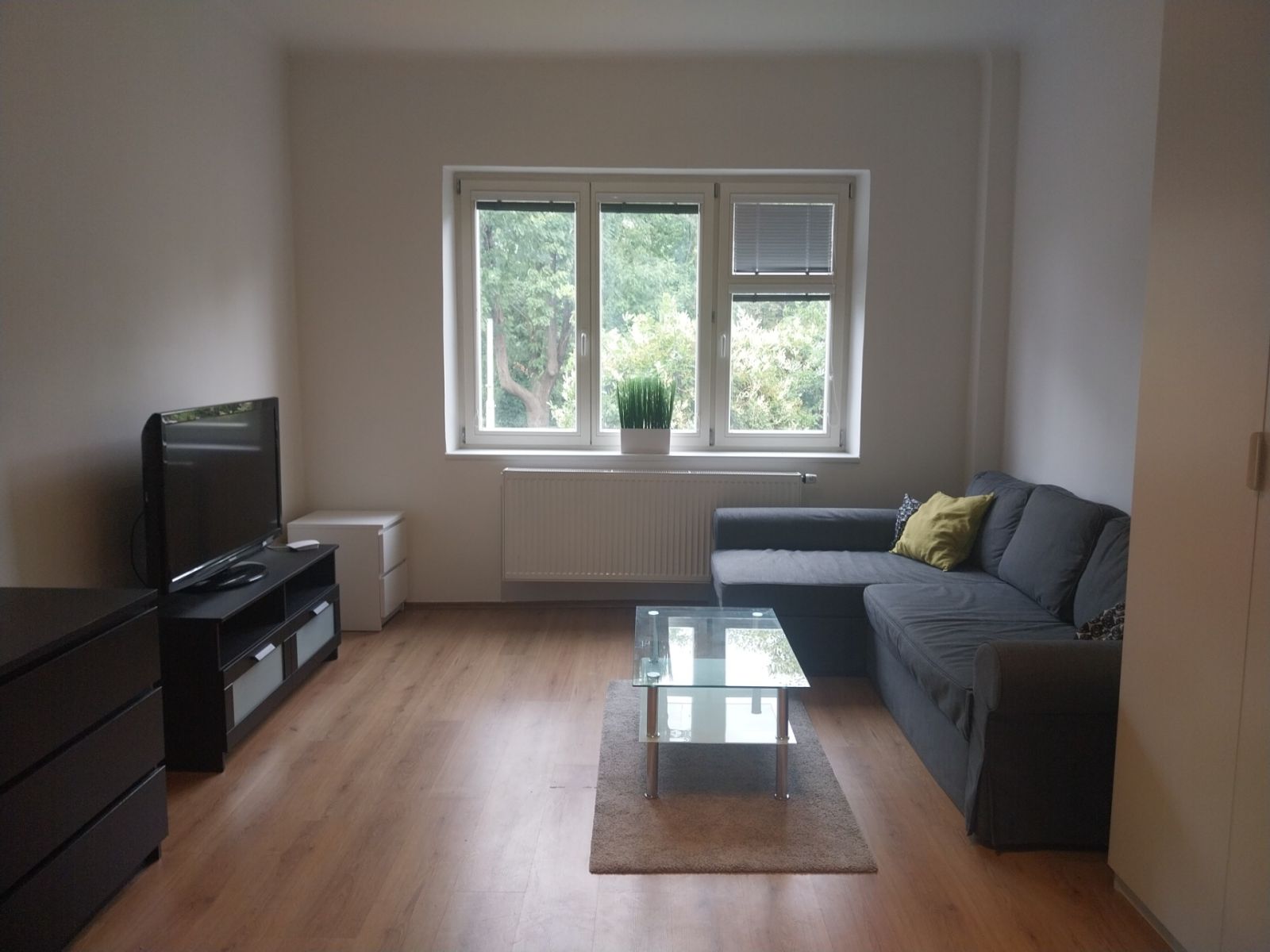 Pronájem bytu 1+1 45 m²
