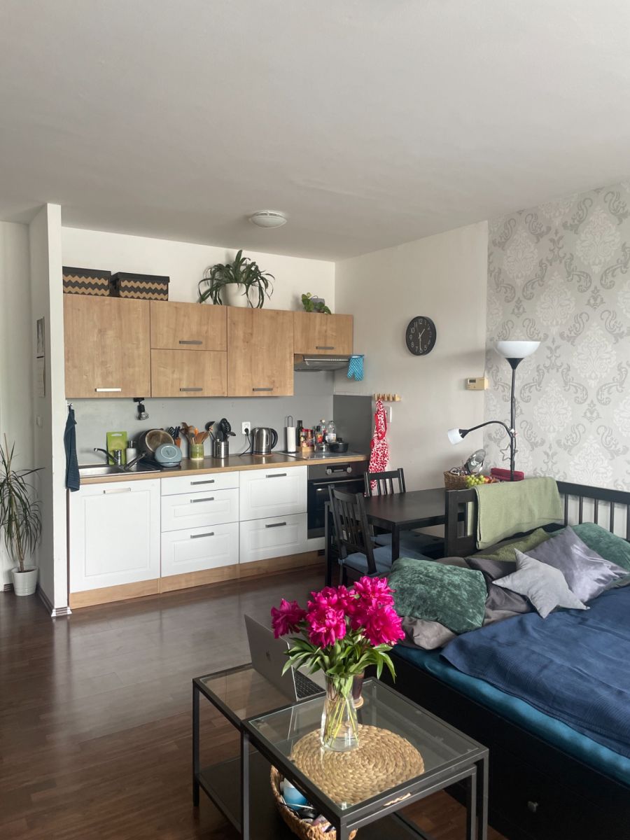 Pronájem bytu 1+kk 40 m²