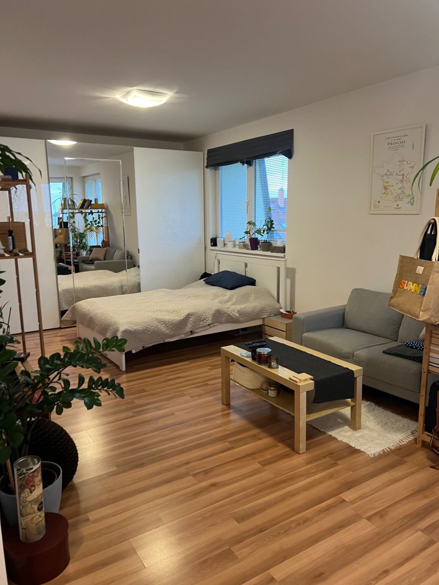 1+kk Apartment in Horoměřice, okres Praha-západ - View 3
