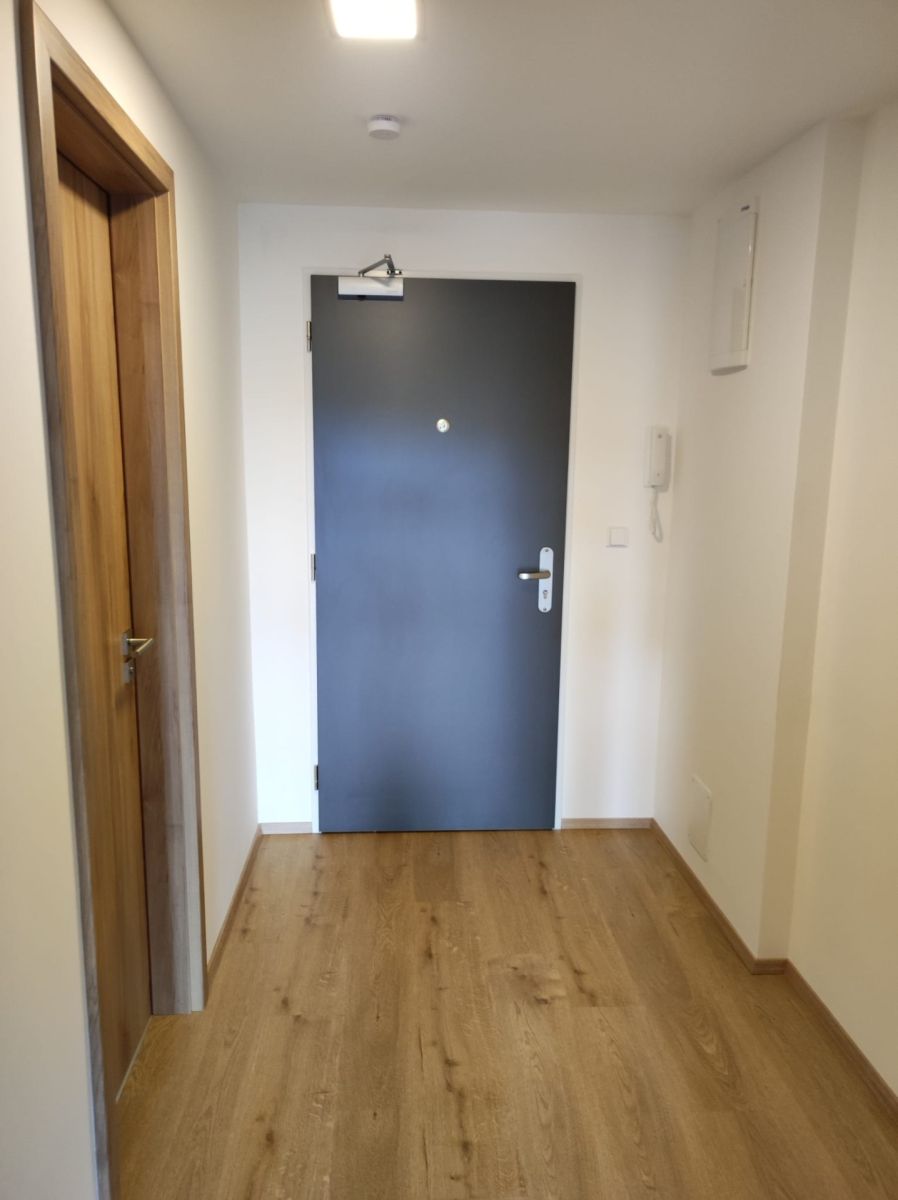 Pronájem bytu 1+kk 35 m², Brno – náhled fotky 3