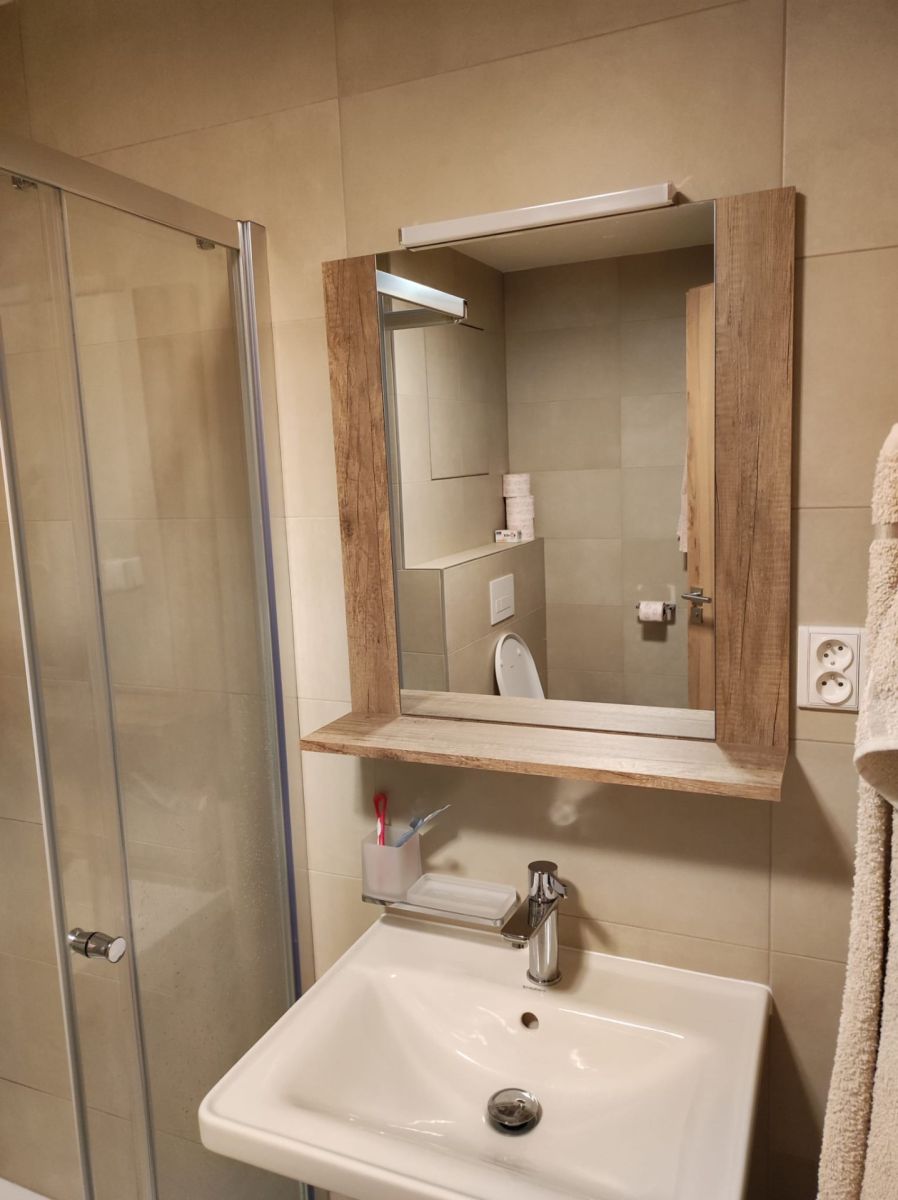 Pronájem bytu 1+kk 35 m², Brno – náhled fotky 6