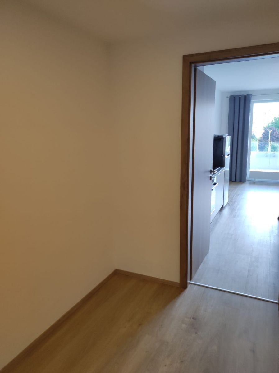 Pronájem bytu 1+kk 35 m², Brno – náhled fotky 2