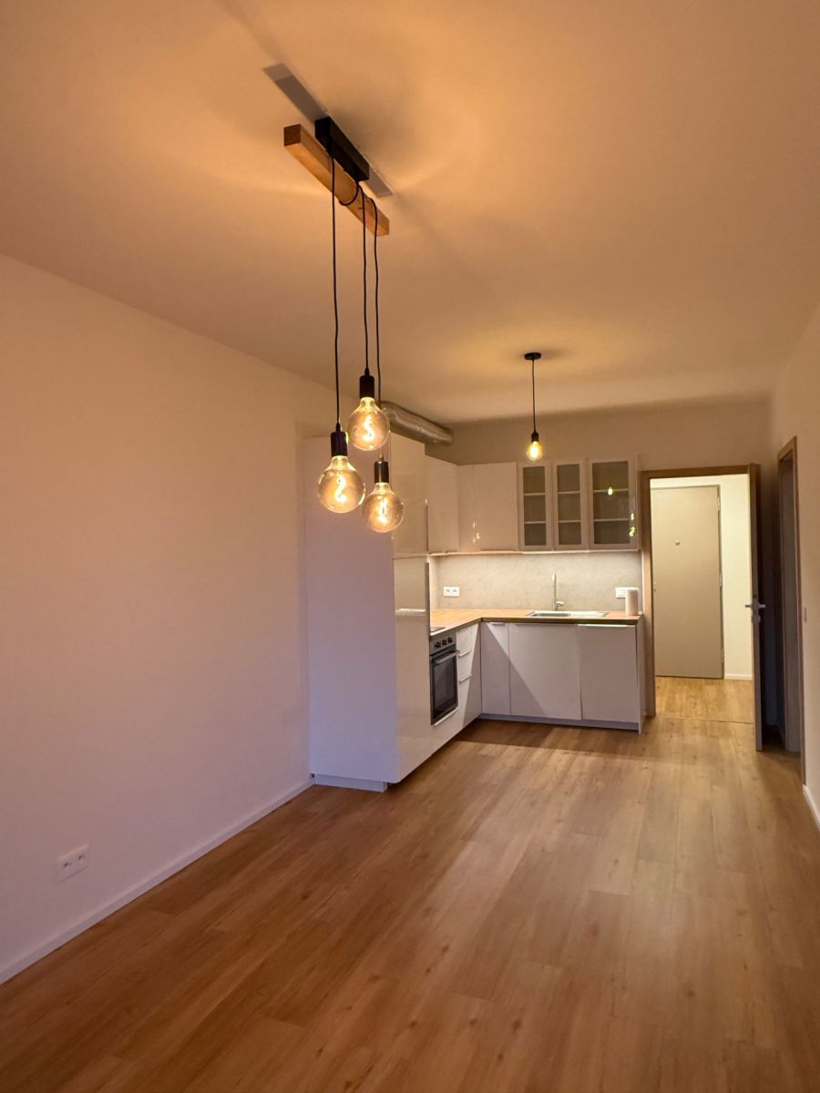 Pronájem bytu 2+kk 49 m², Brandýs nad Labem-Stará Boleslav – náhled fotky 4