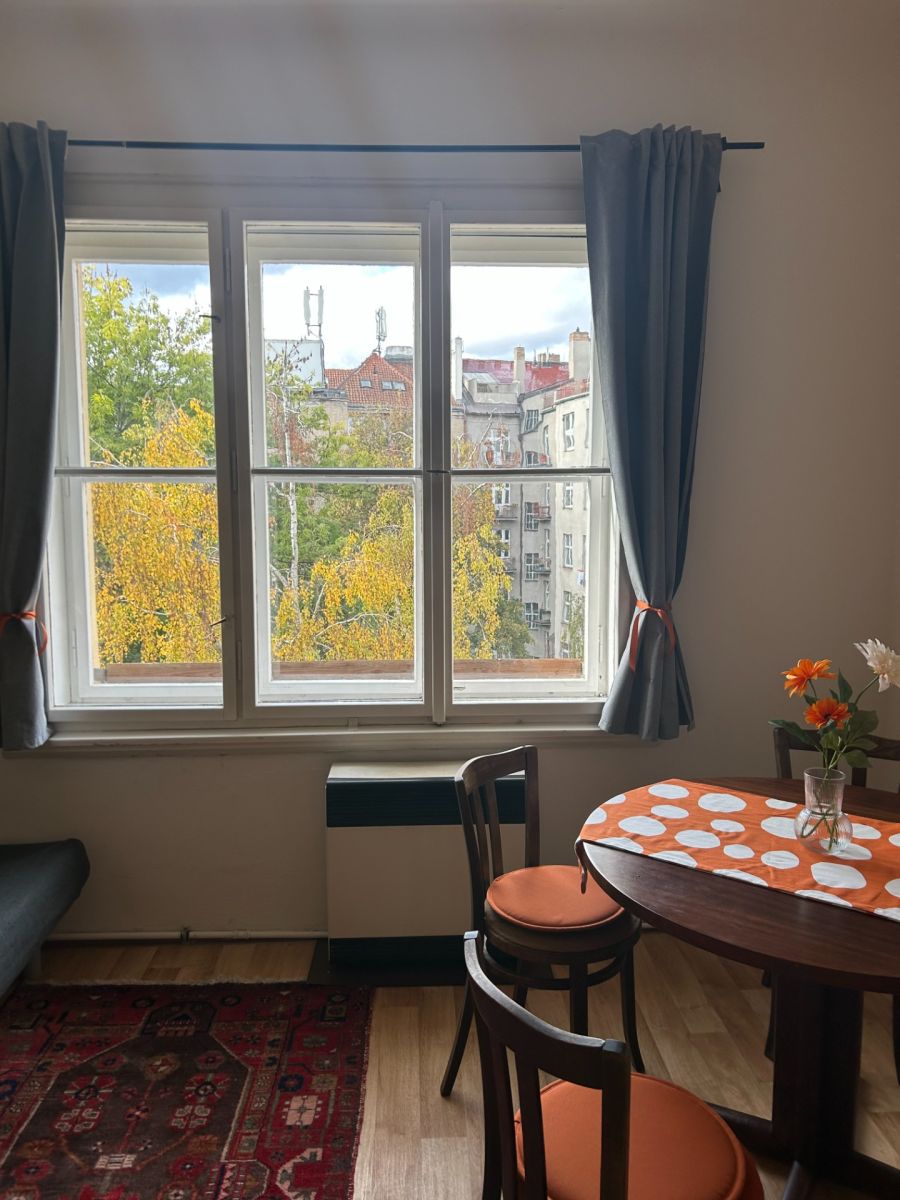 Wohnung 2+kk zur Miete, 53 m² (3 von 12)