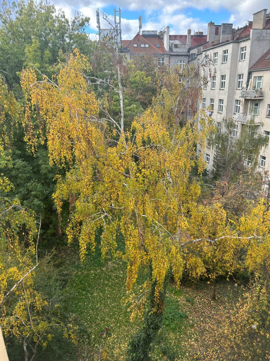 Wohnung 2+kk zur Miete, 53 m² (4 von 12)