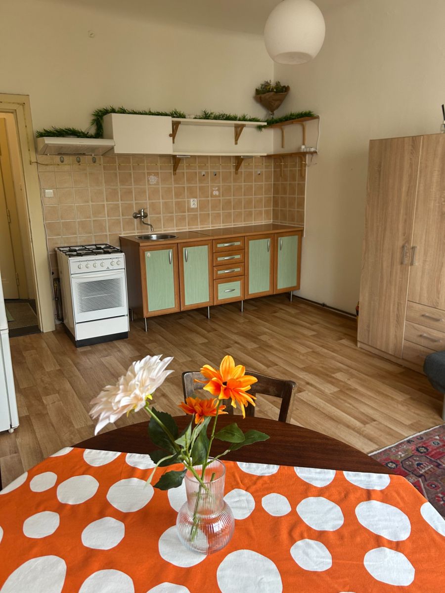 Wohnung 2+kk zur Miete, 53 m² (5 von 12)