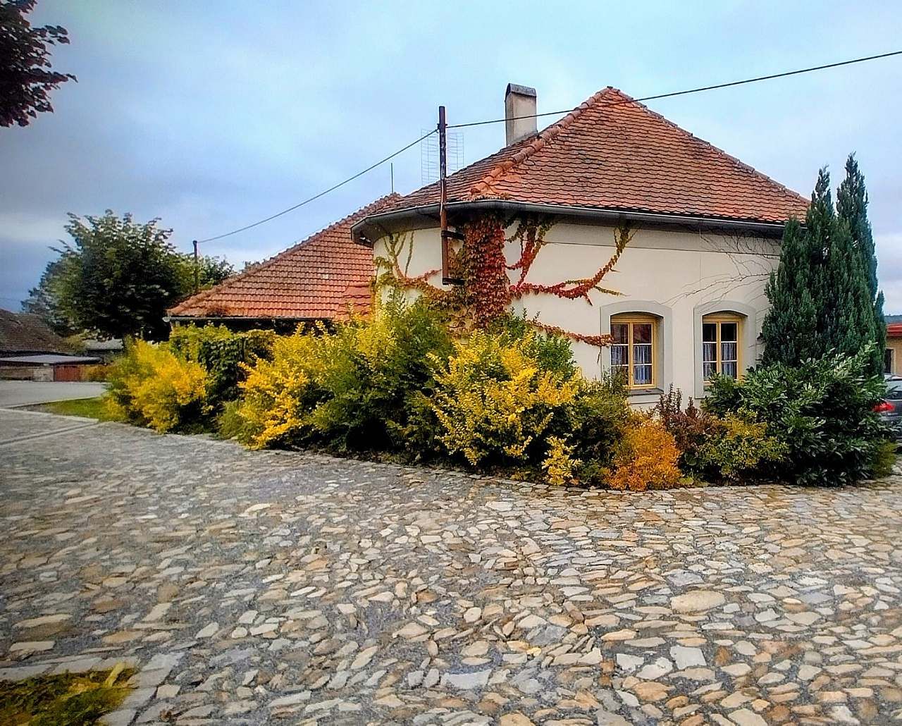 Maison