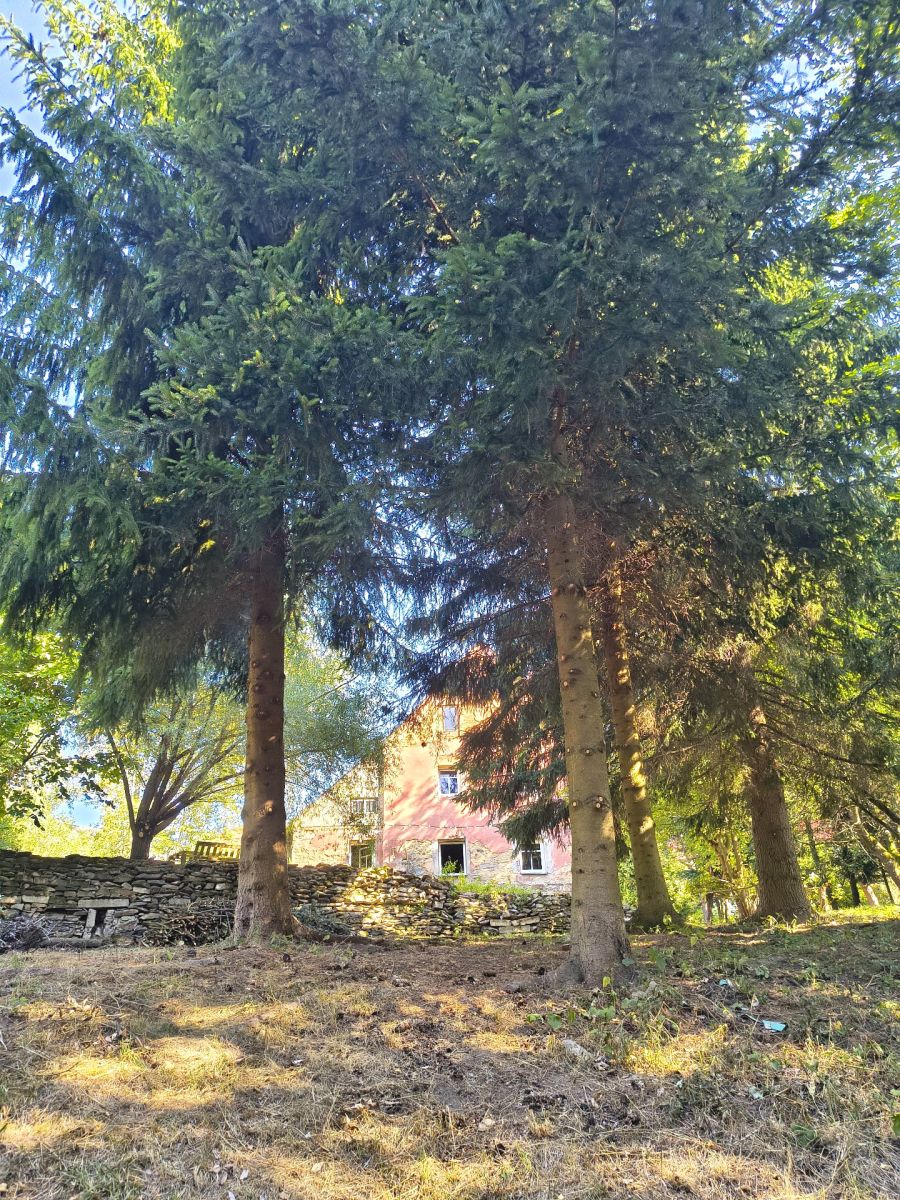 Malečov - Proboštov u Tašova, Ústecký kraj – fotografie 5