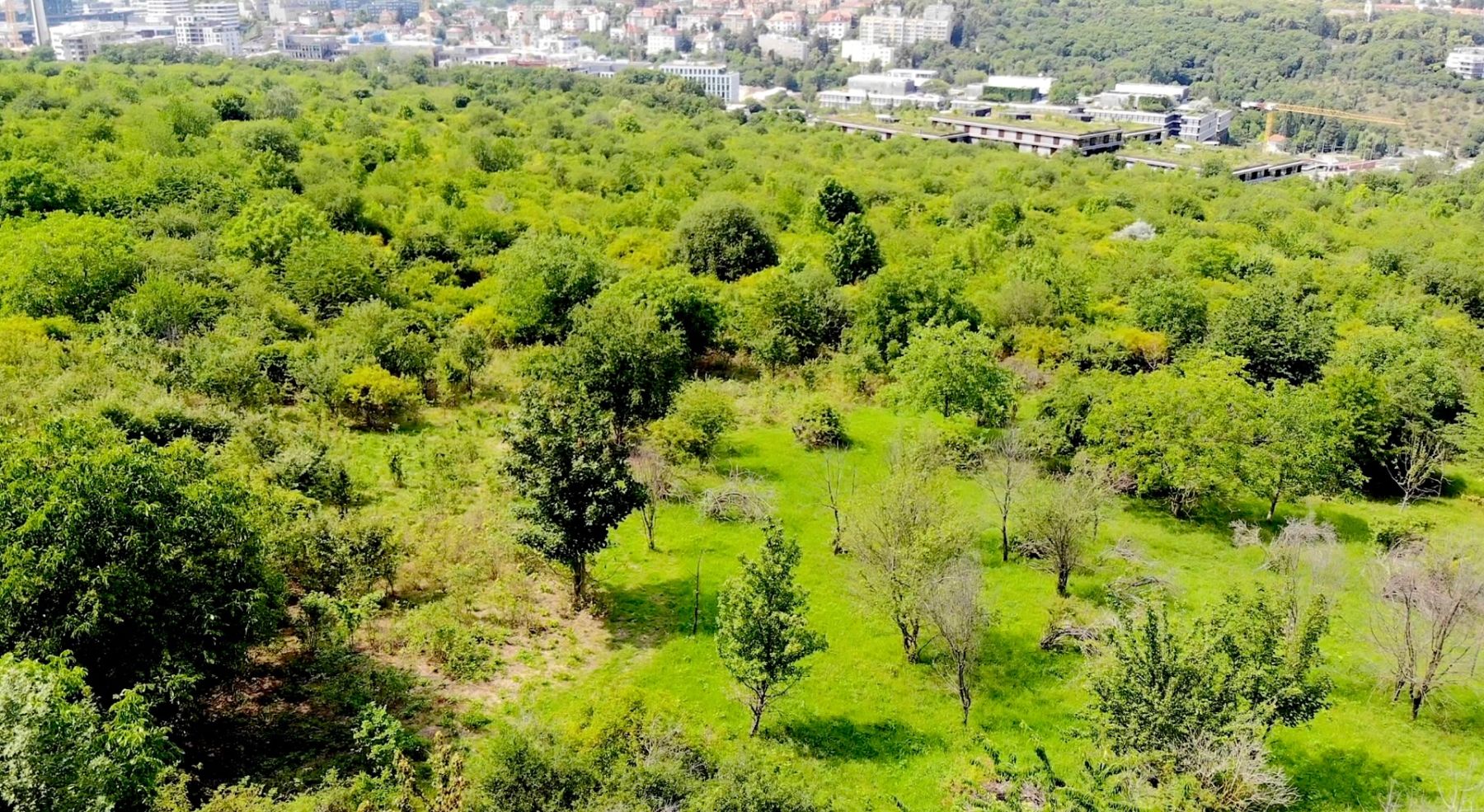 Prodej pozemku 18.966 m² — photo 2