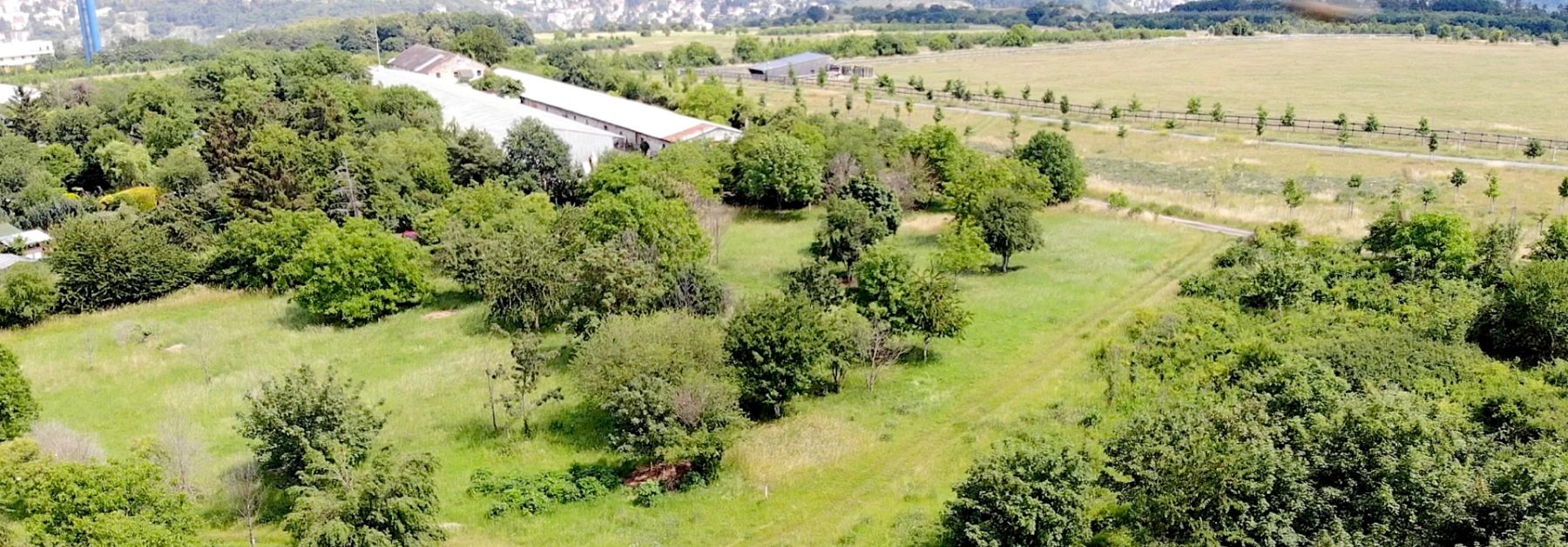 Prodej pozemku 18.966 m² — photo 3