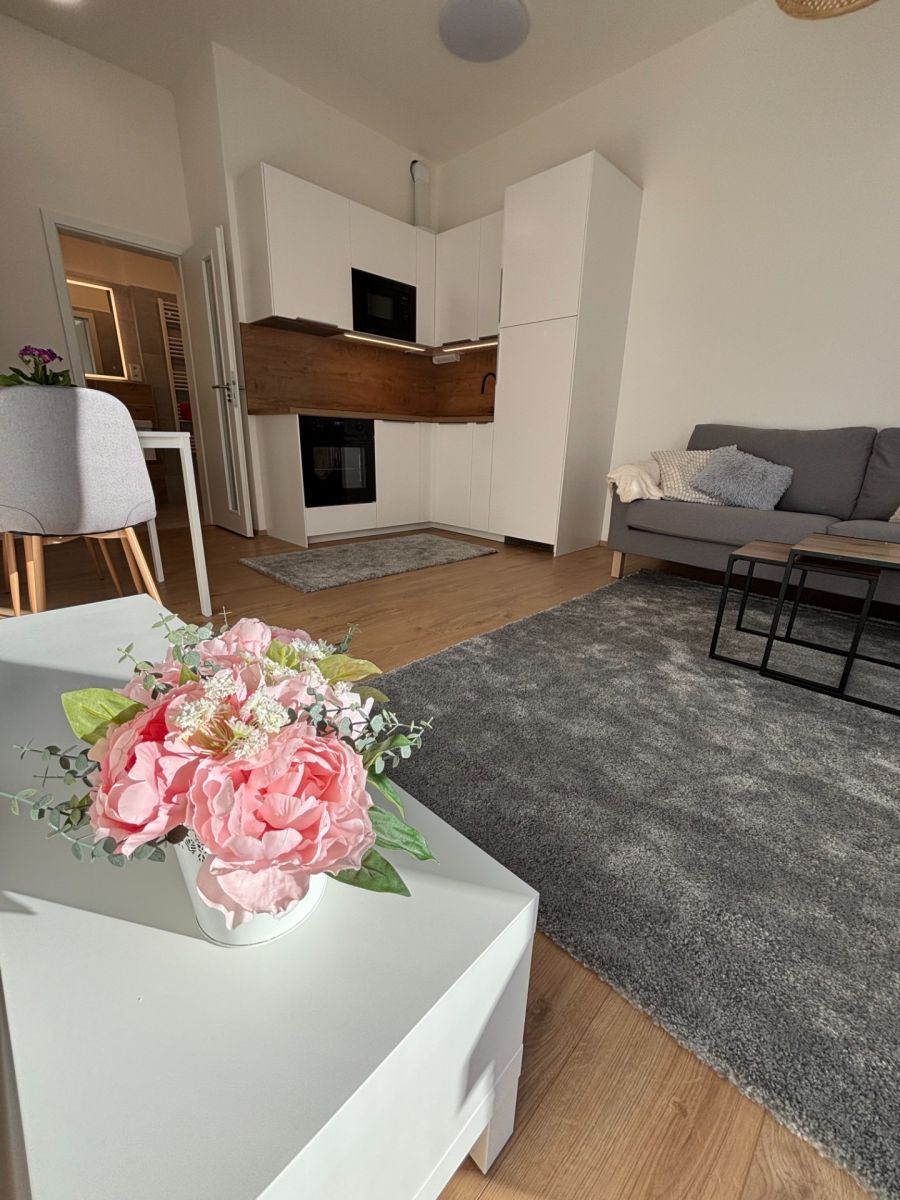 Pronájem bytu 2+kk 42 m²