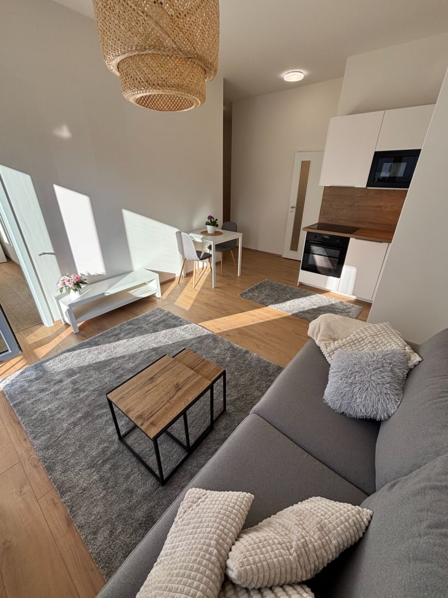 Pronájem bytu 2+kk 42 m² — photo 3