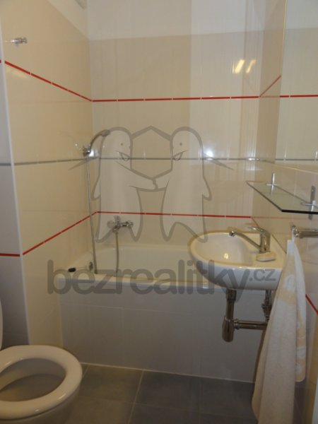 Pronájem bytu 1+kk 24 m² — photo 5