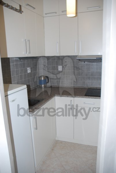 Pronájem bytu 1+1 29 m² — photo 3