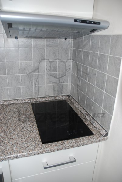 Pronájem bytu 1+1 29 m² — photo 5