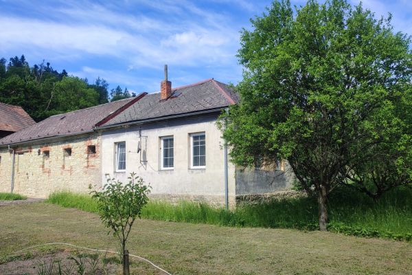 Lesní, Březová nad Svitavou - Česká Dlouhá, Pardubický kraj