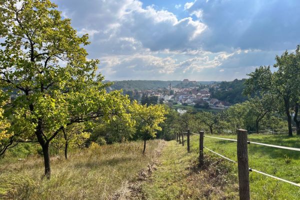 Dolní Kounice - Dolní Kounice, Jihomoravský kraj