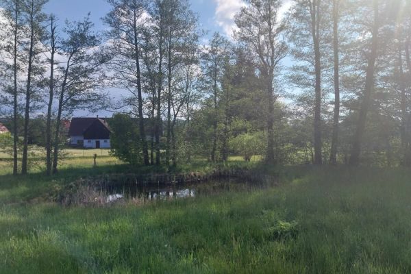 Dětřichov - Dětřichov u Frýdlantu, Liberecký kraj