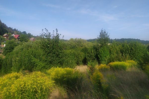 Olomouc - Radíkov u Olomouce, Olomoucký kraj