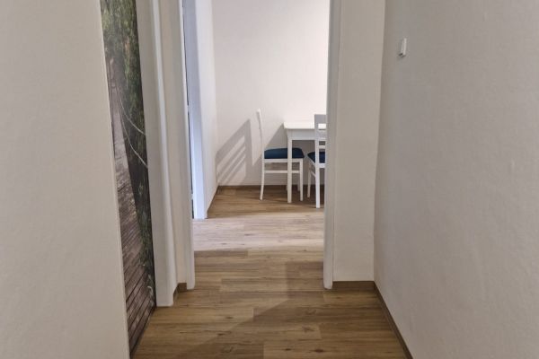 Padělky II, Zlín - Zlín, Zlínský kraj