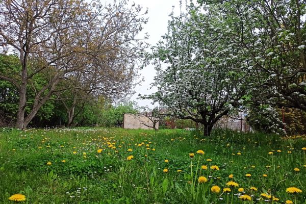 Prokopa Holého, Hradec Králové - Pražské Předměstí, Královéhradecký kraj