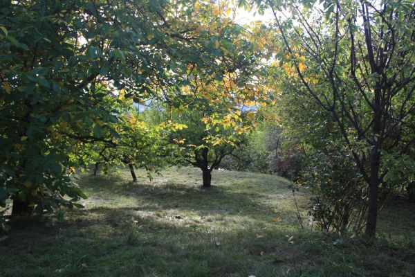 Chrudim - Chrudim, Pardubický kraj