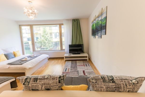 Pronájem bytu 1+kk, 46 m², Praha – Žižkov, 26 000 Kč