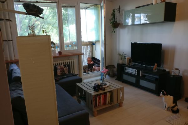 Pronájem bytu 3+kk 56 m² - Borošova, Praha - Háje